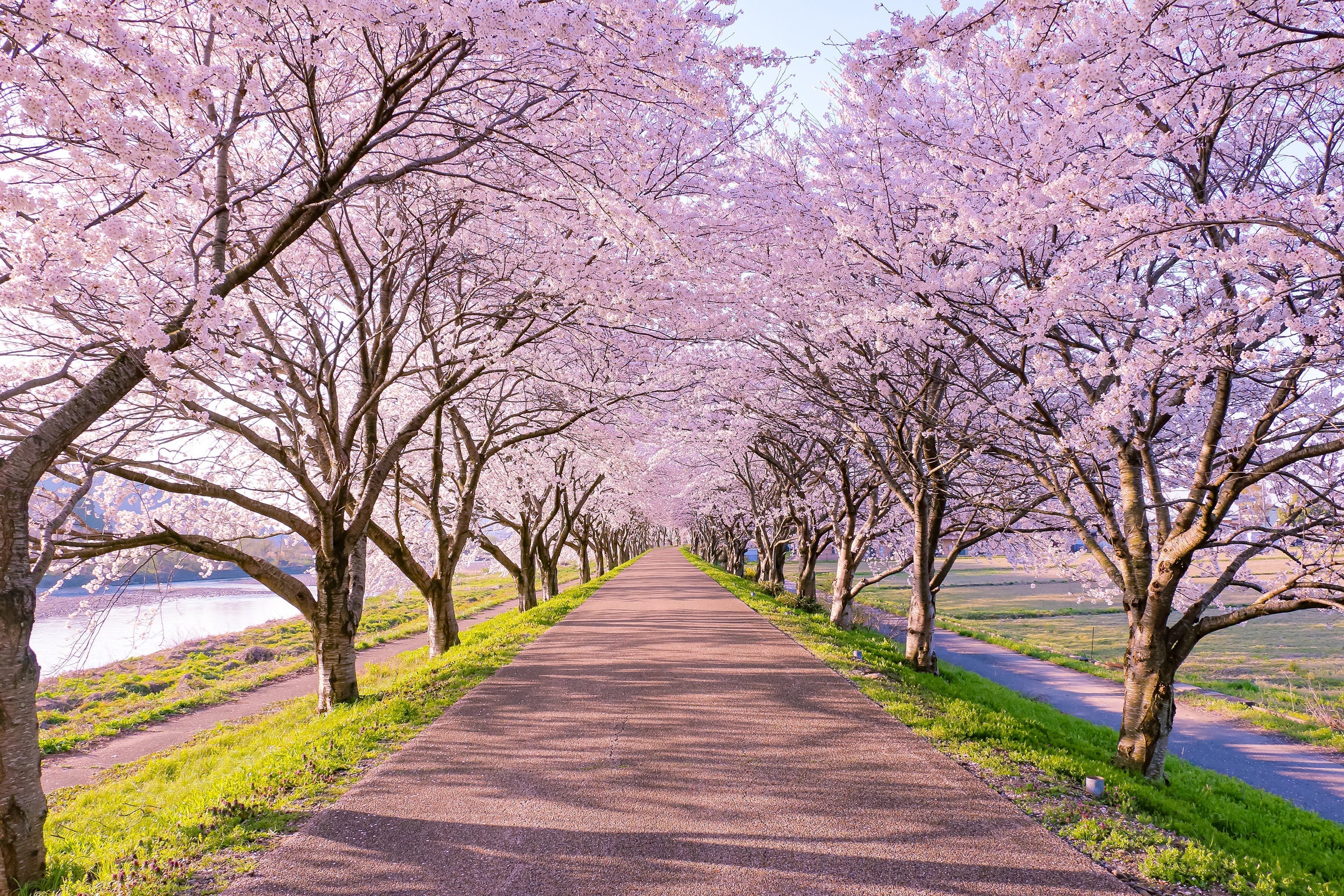 【Vol.1】春、財布を「張る」季節。豊かさを呼び込む、大人の春財布選びと「本当の理由」___春財布トリロジー（全3回）